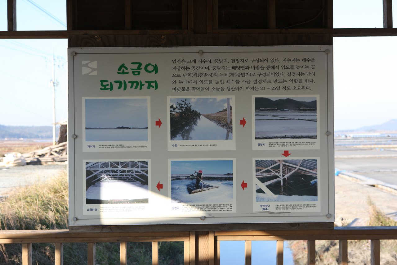 신안 증도 태평염전