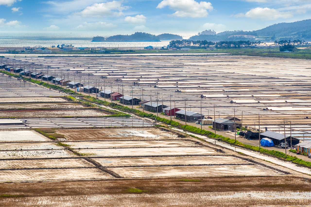 신안 증도 태평염전