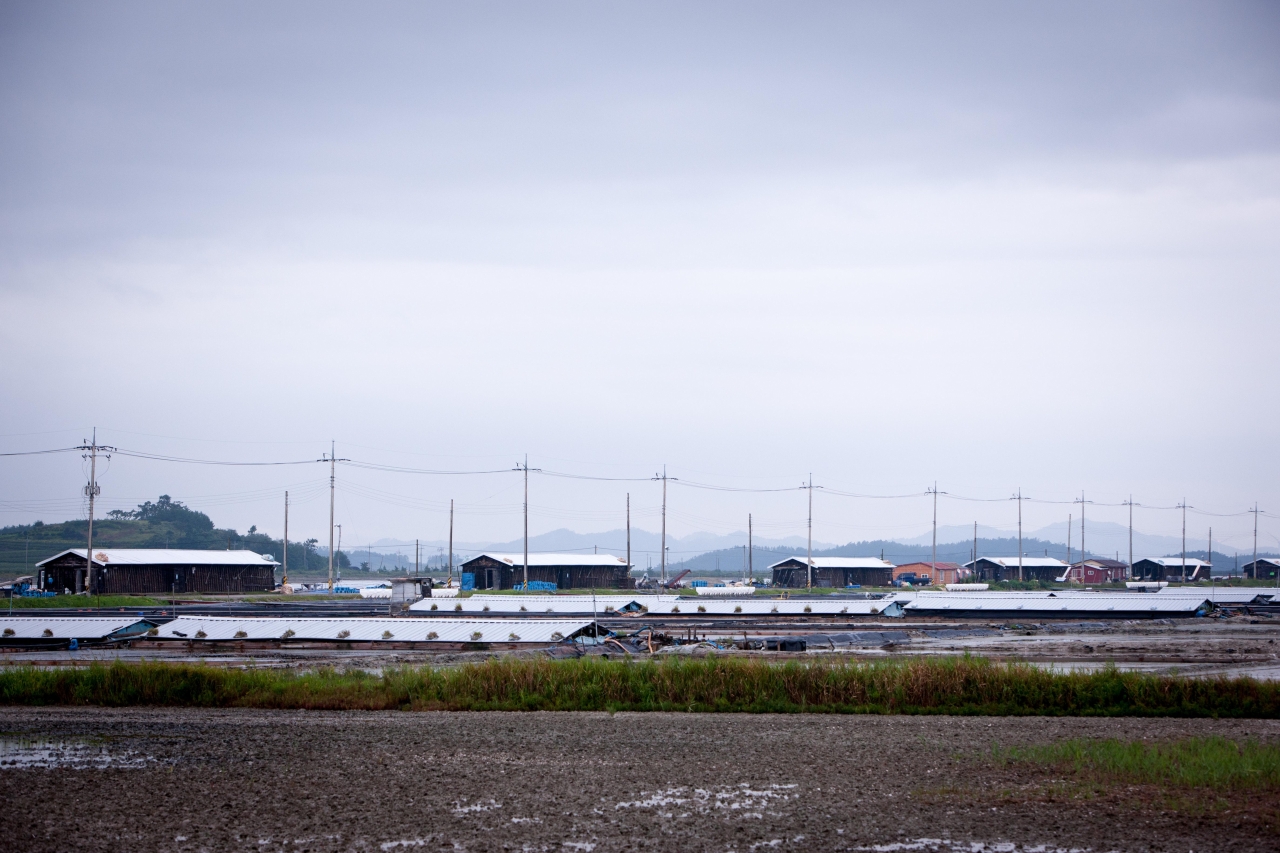 신안 증도 태평염전