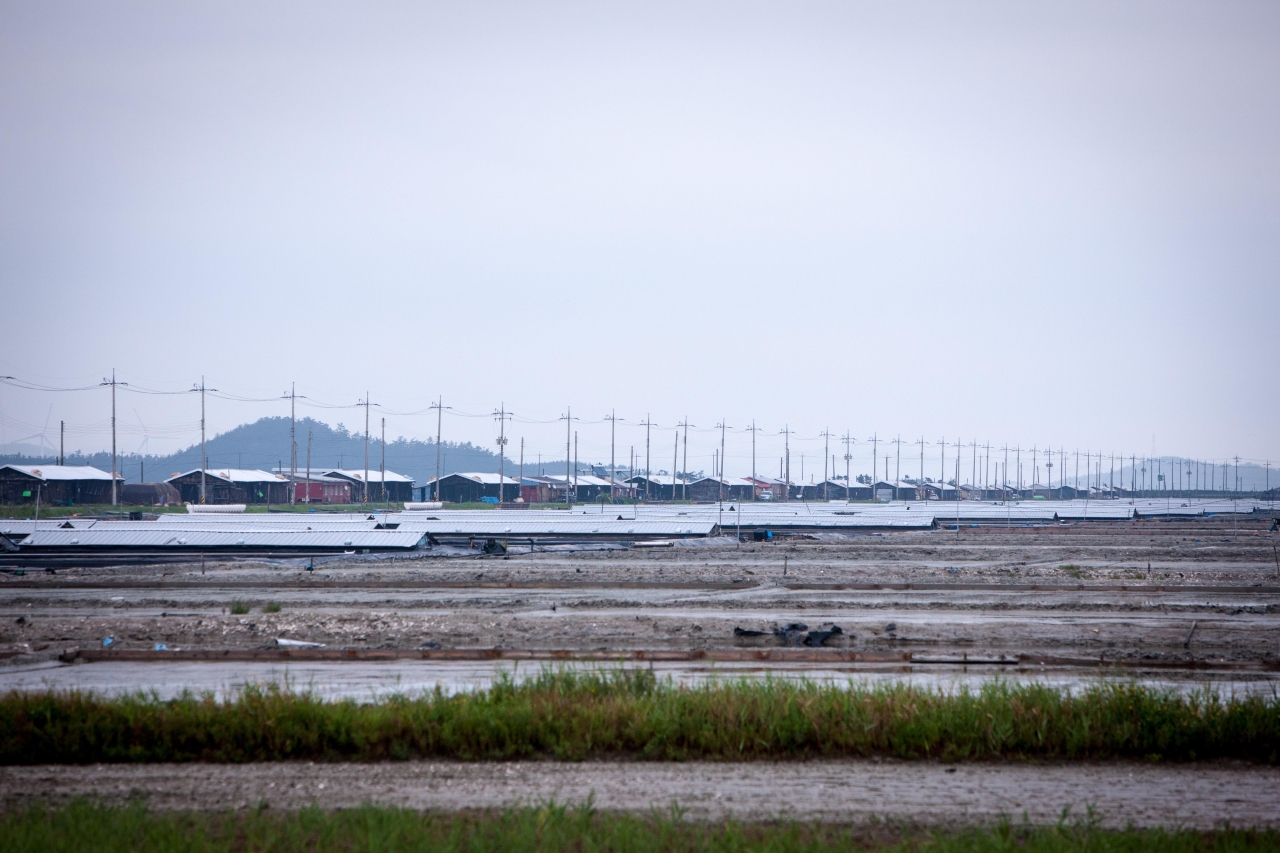 신안 증도 태평염전