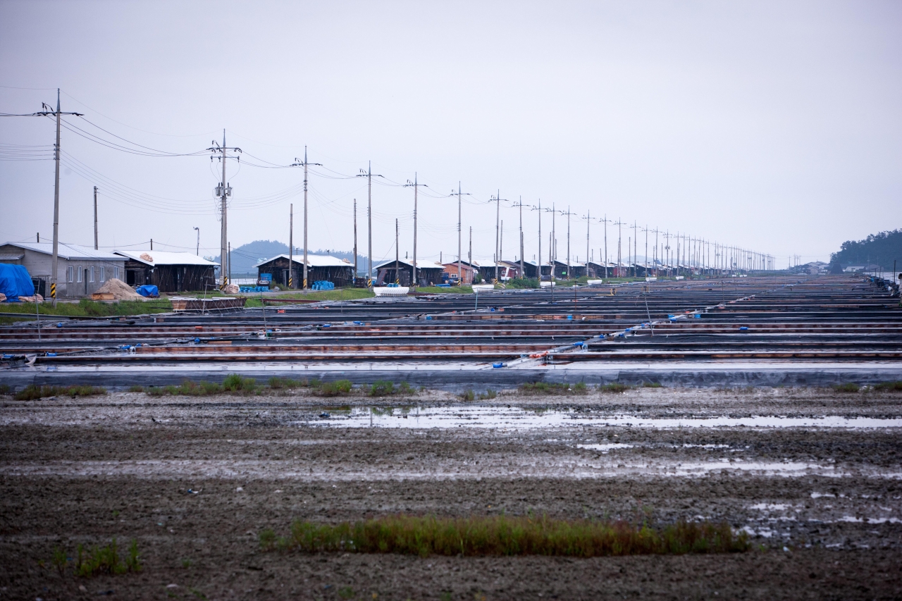 신안 증도 태평염전