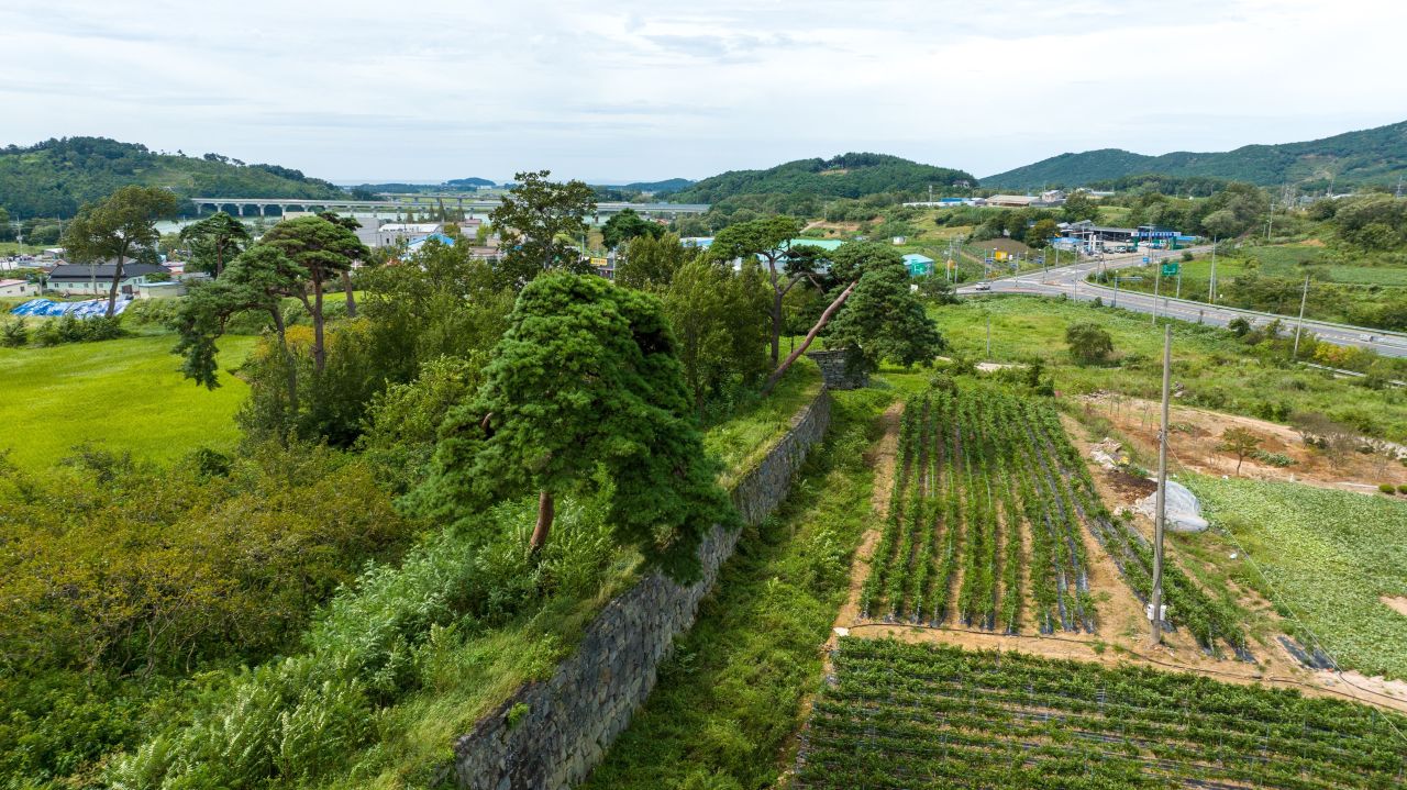 보령 충청수영성