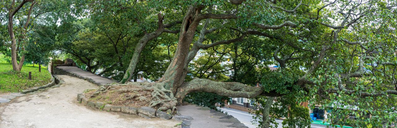 보령 충청수영성