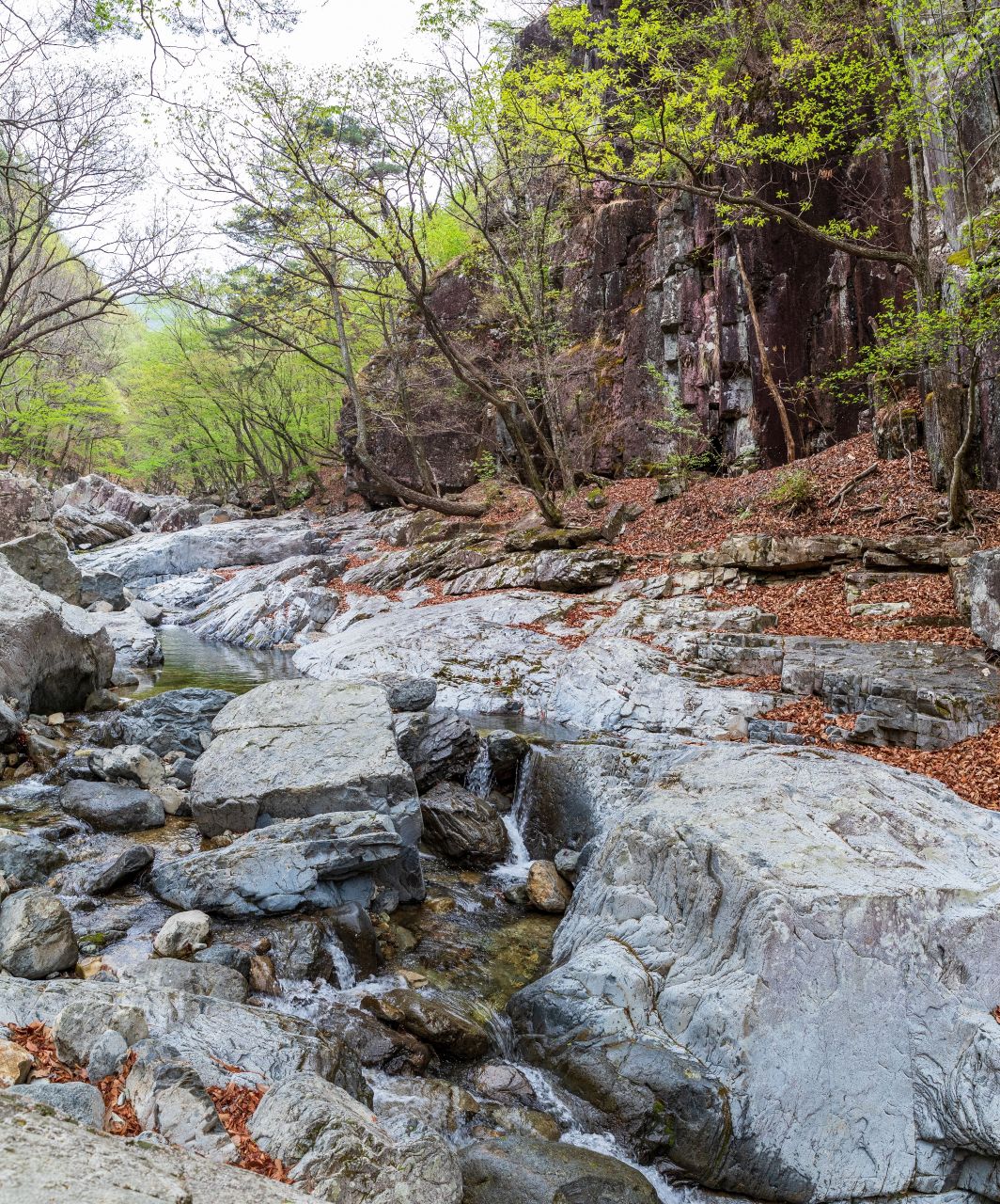 내원사계곡