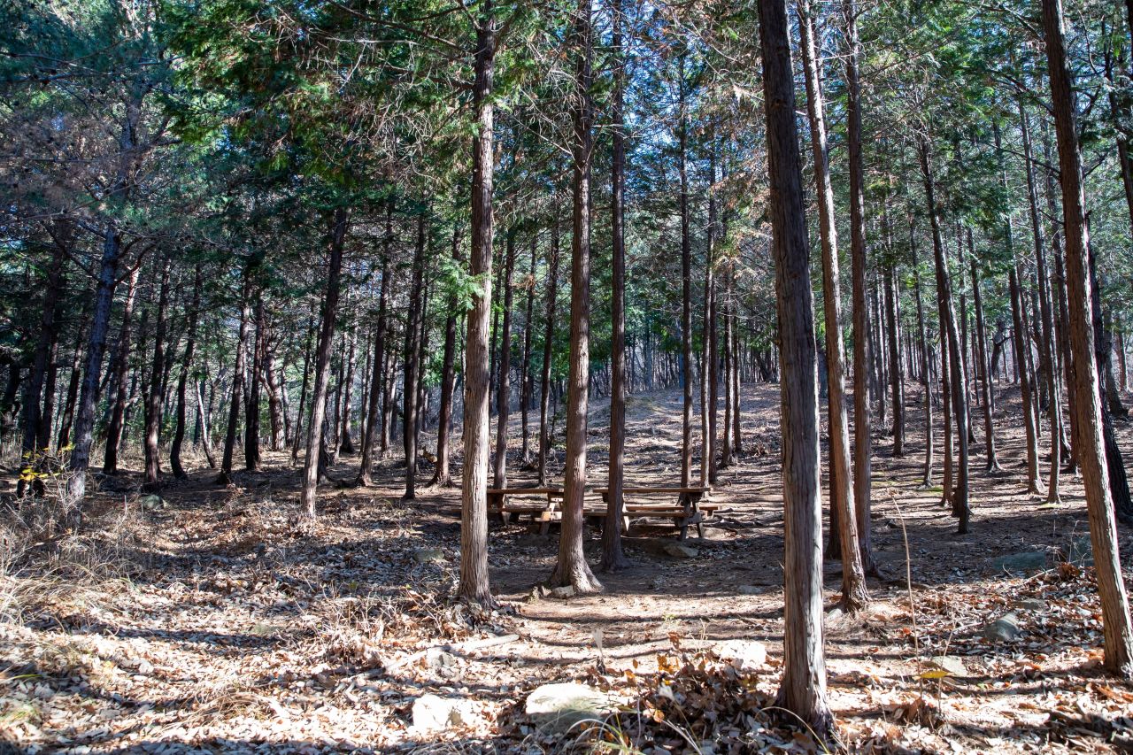 천마산 편백산림욕장