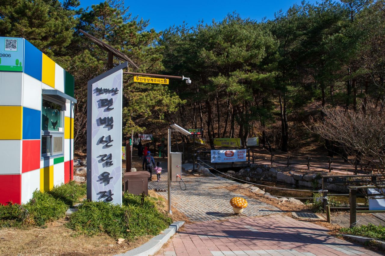 천마산 편백산림욕장