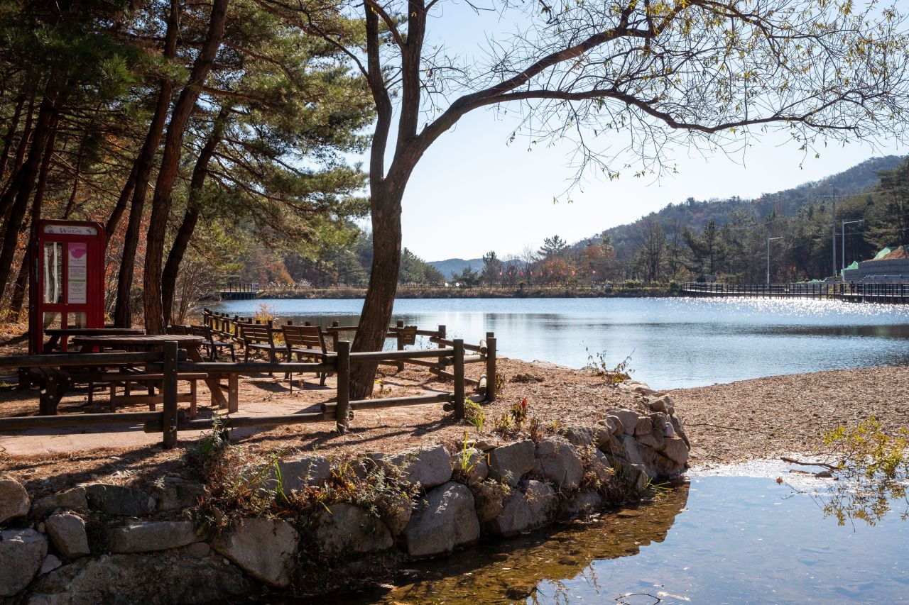 천마산 편백산림욕장