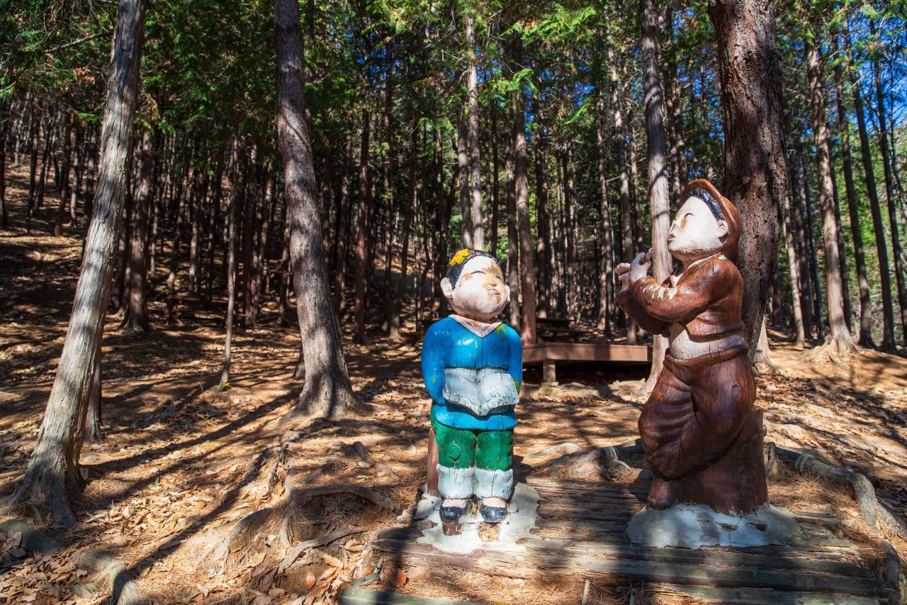 천마산 편백산림욕장