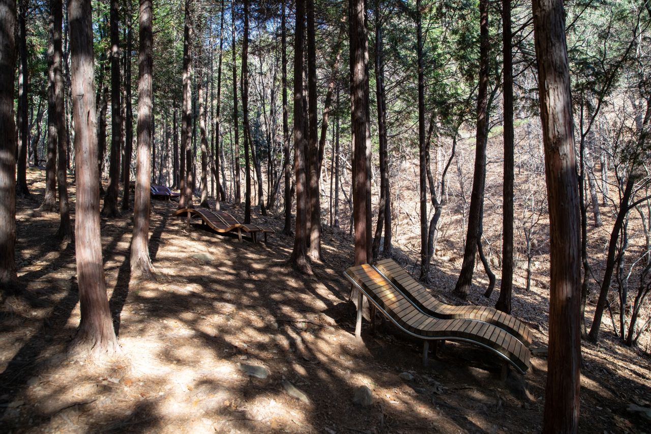 천마산 편백산림욕장