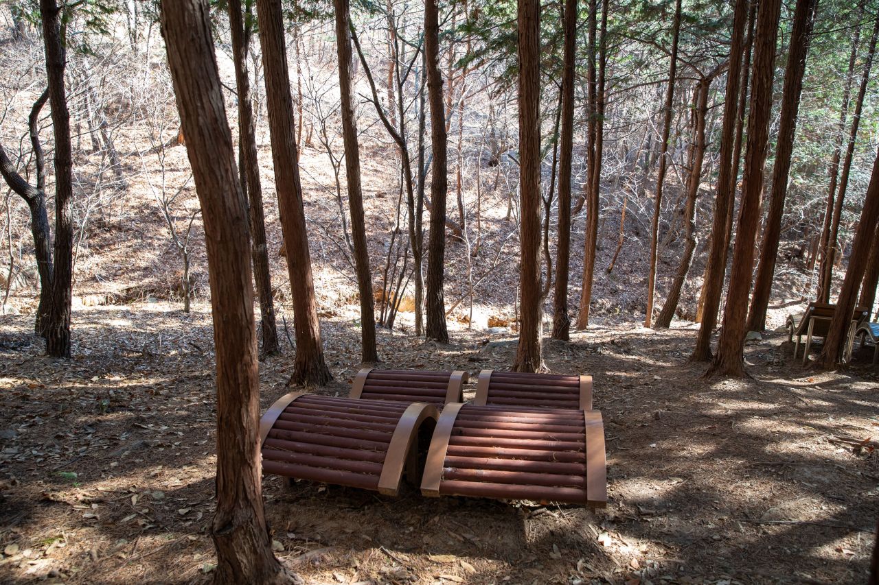 천마산 편백산림욕장