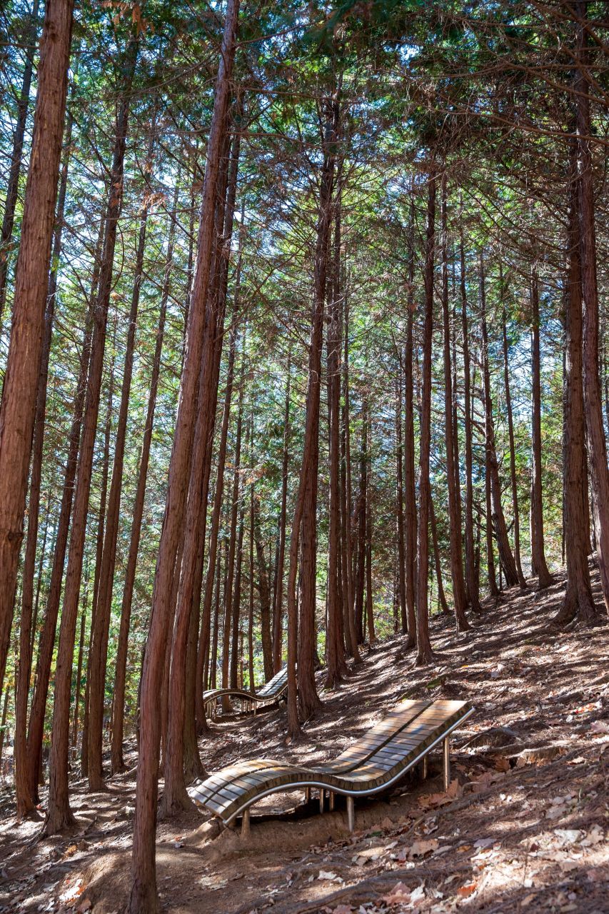 천마산 편백산림욕장