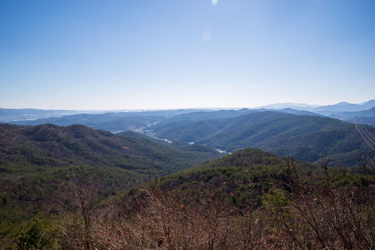 천마산 편백산림욕장