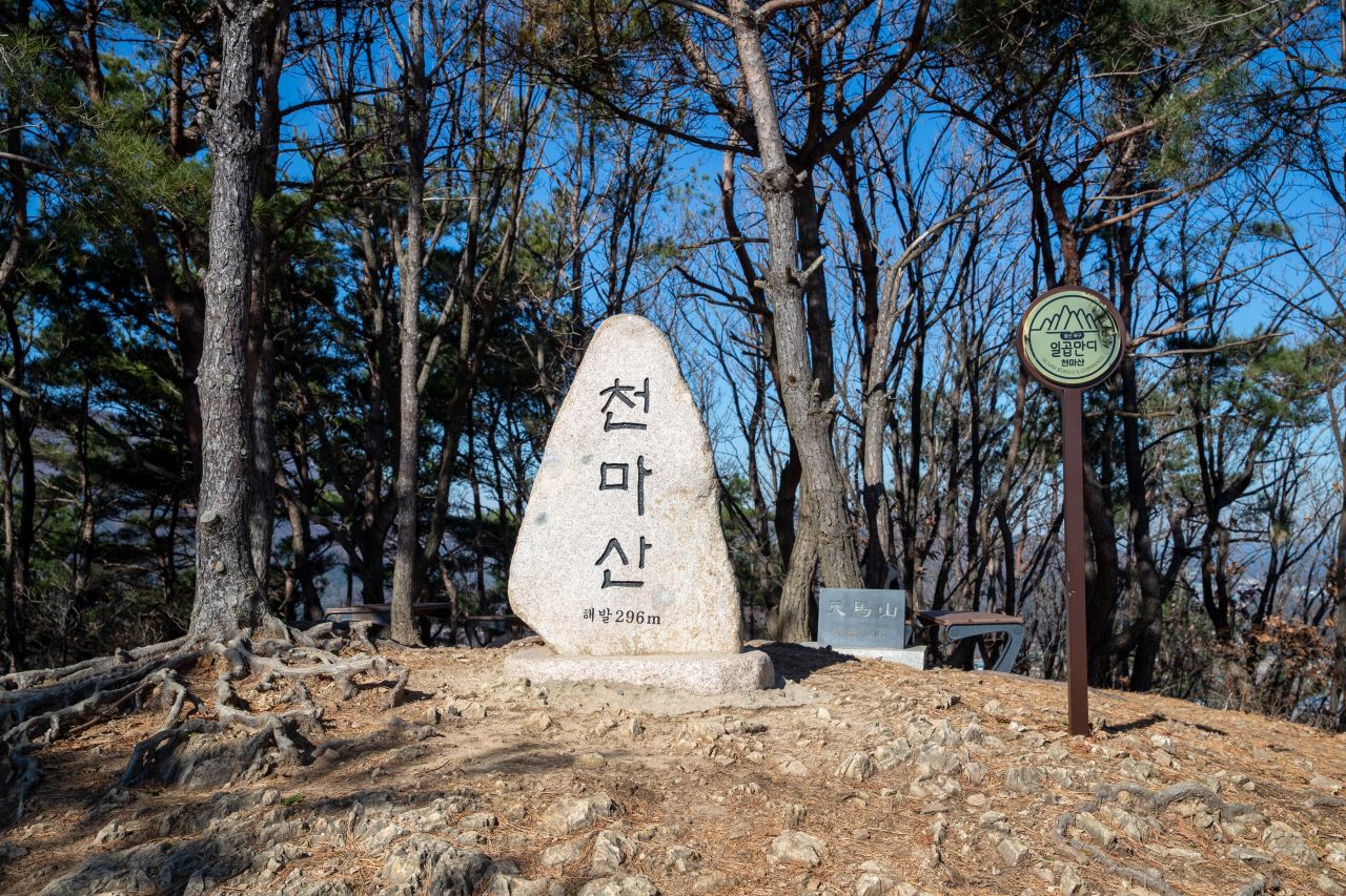 천마산 편백산림욕장