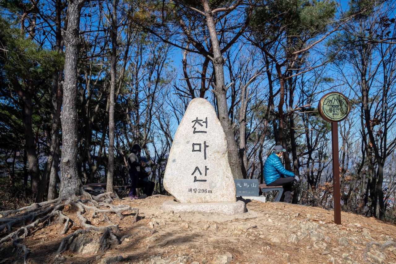 천마산 편백산림욕장