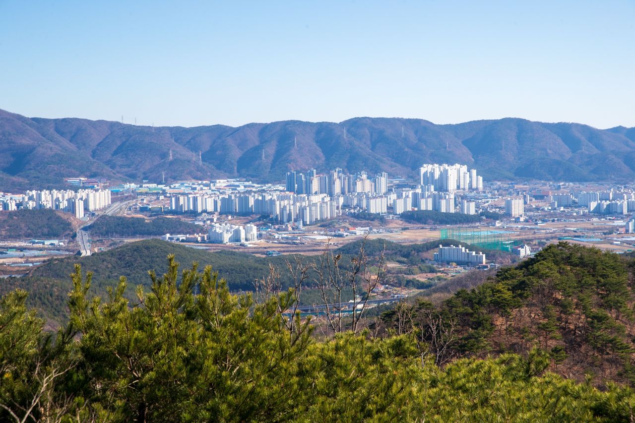 천마산 편백산림욕장