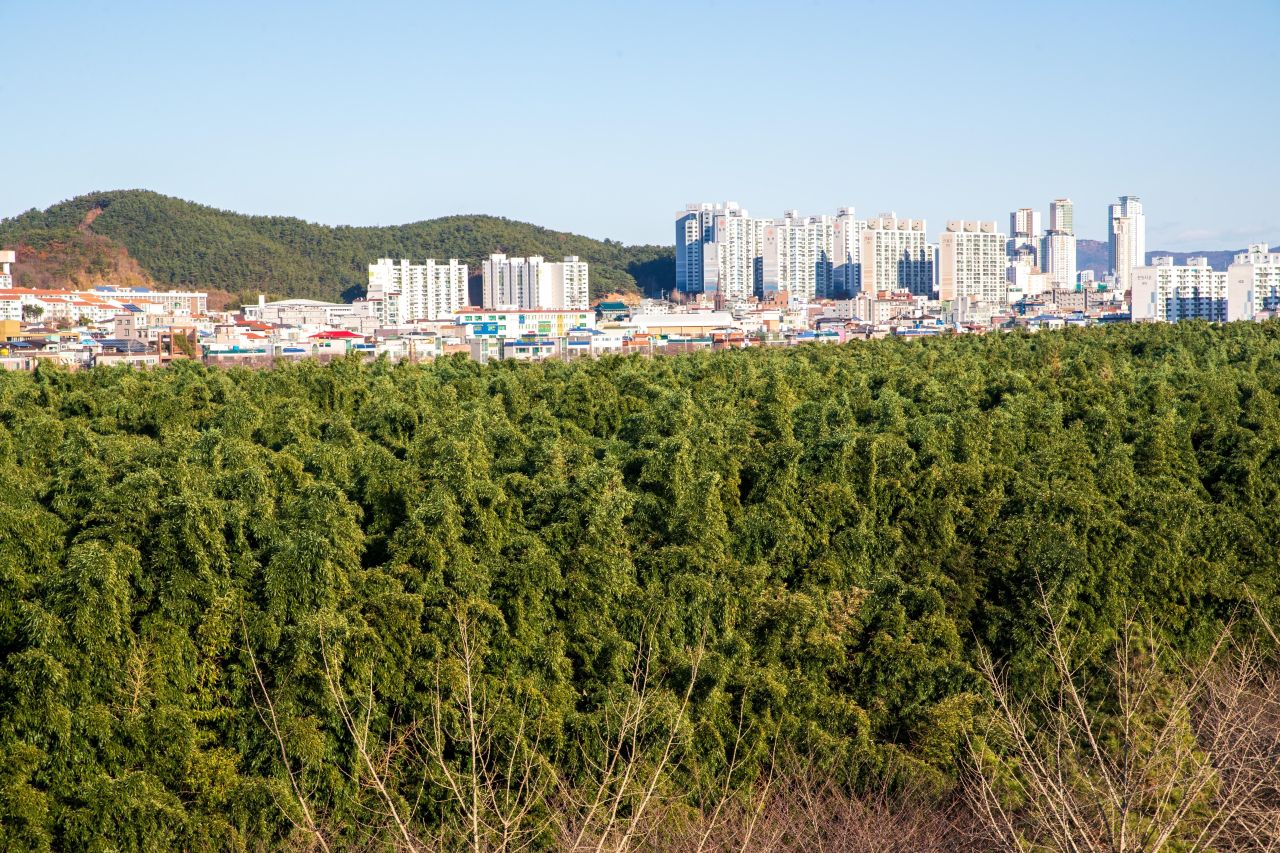 울산 철새홍보관