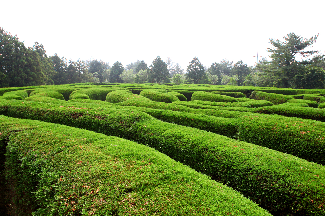제주김녕미로공원