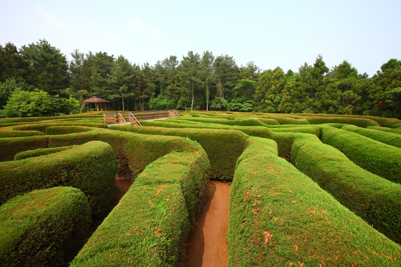 제주김녕미로공원