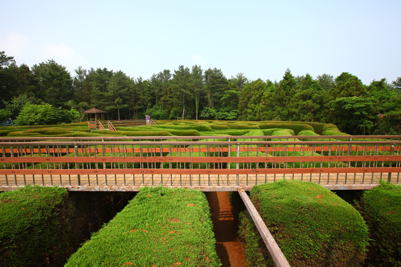 제주김녕미로공원