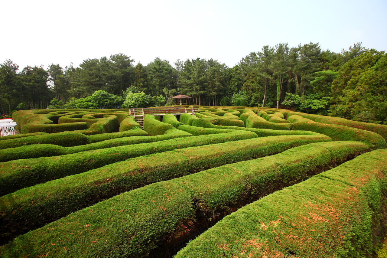 제주김녕미로공원