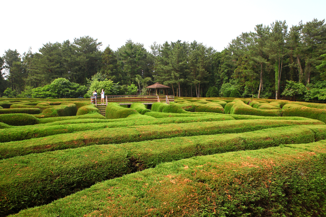 제주김녕미로공원