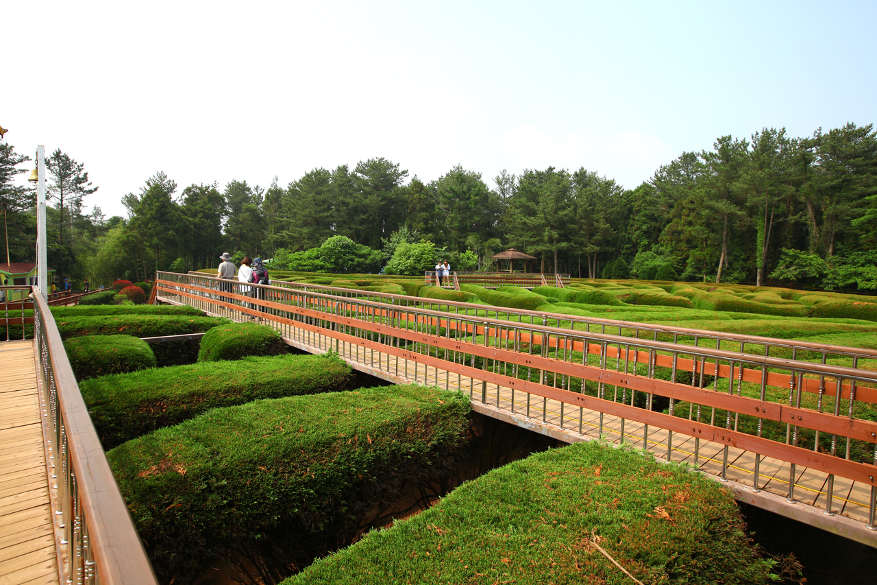 제주김녕미로공원
