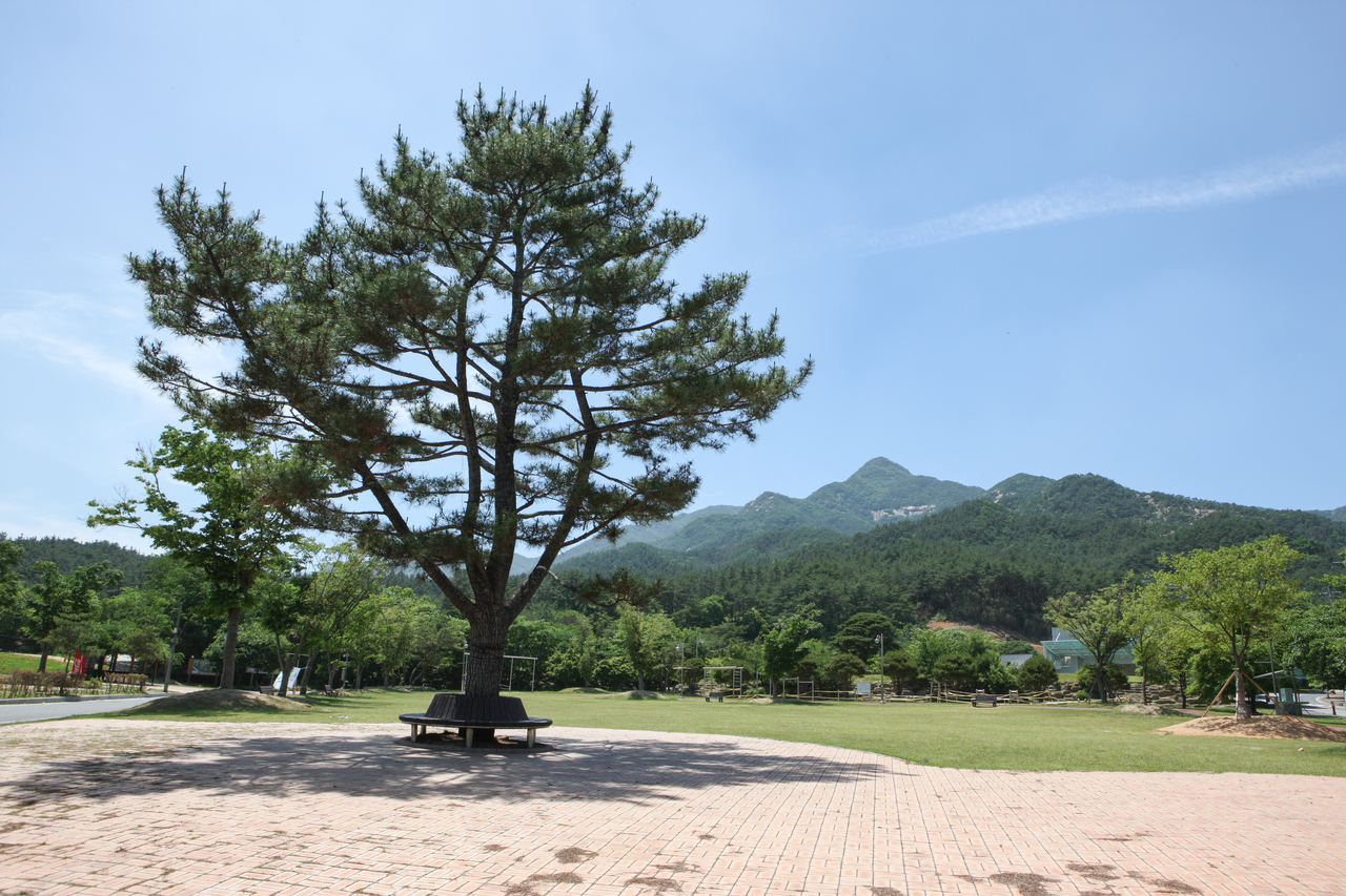 도림사오토캠핑리조트