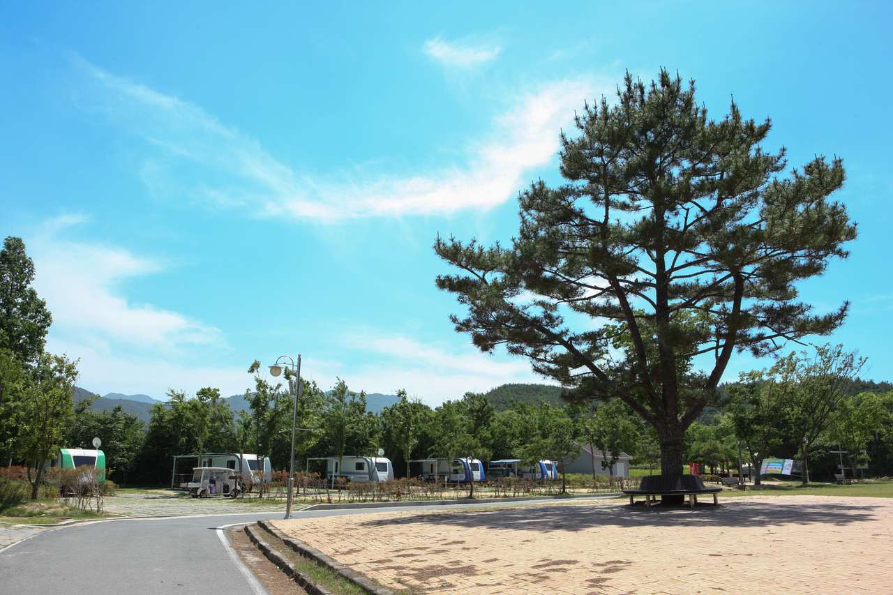 도림사오토캠핑리조트