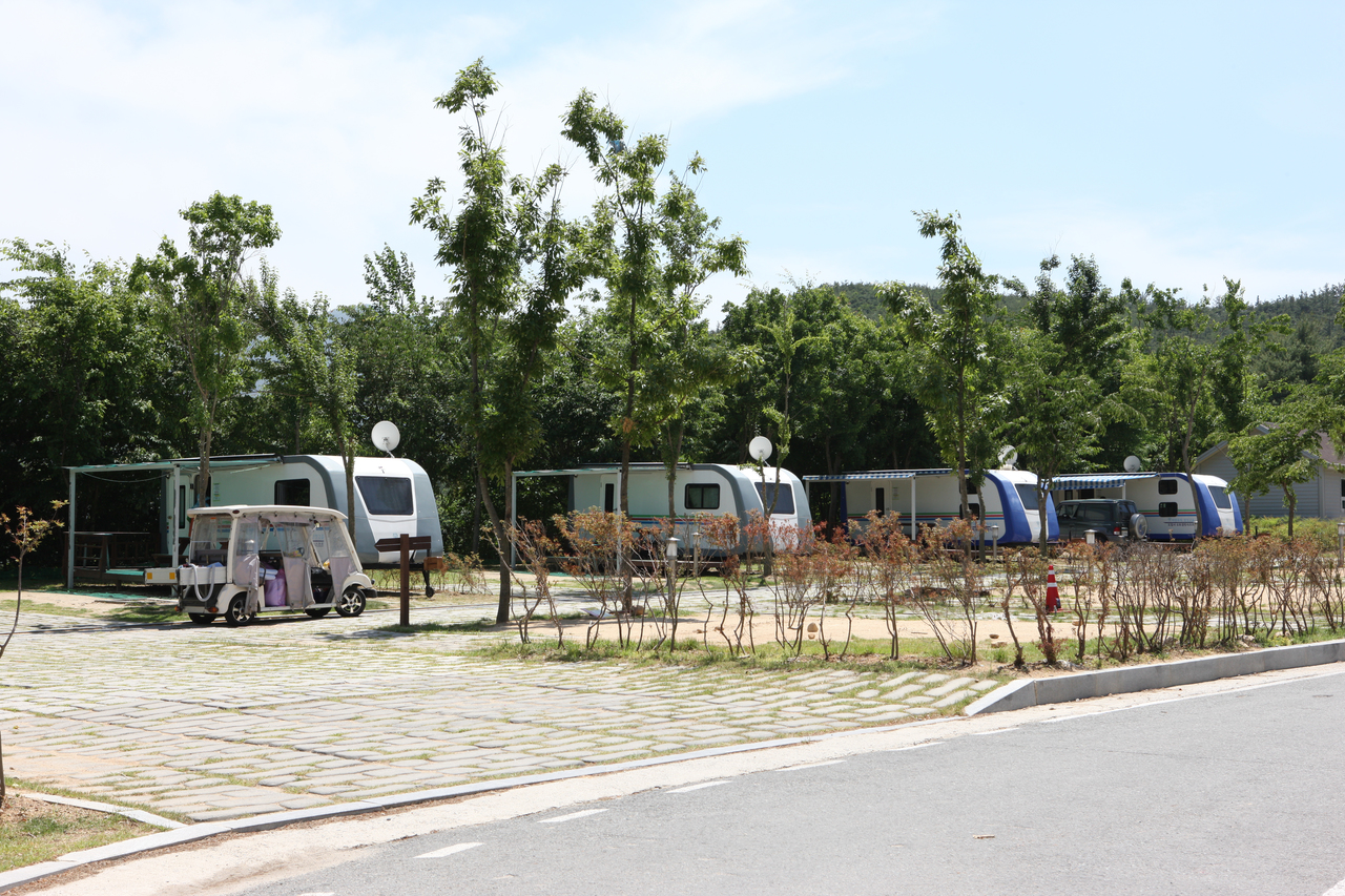 도림사오토캠핑리조트