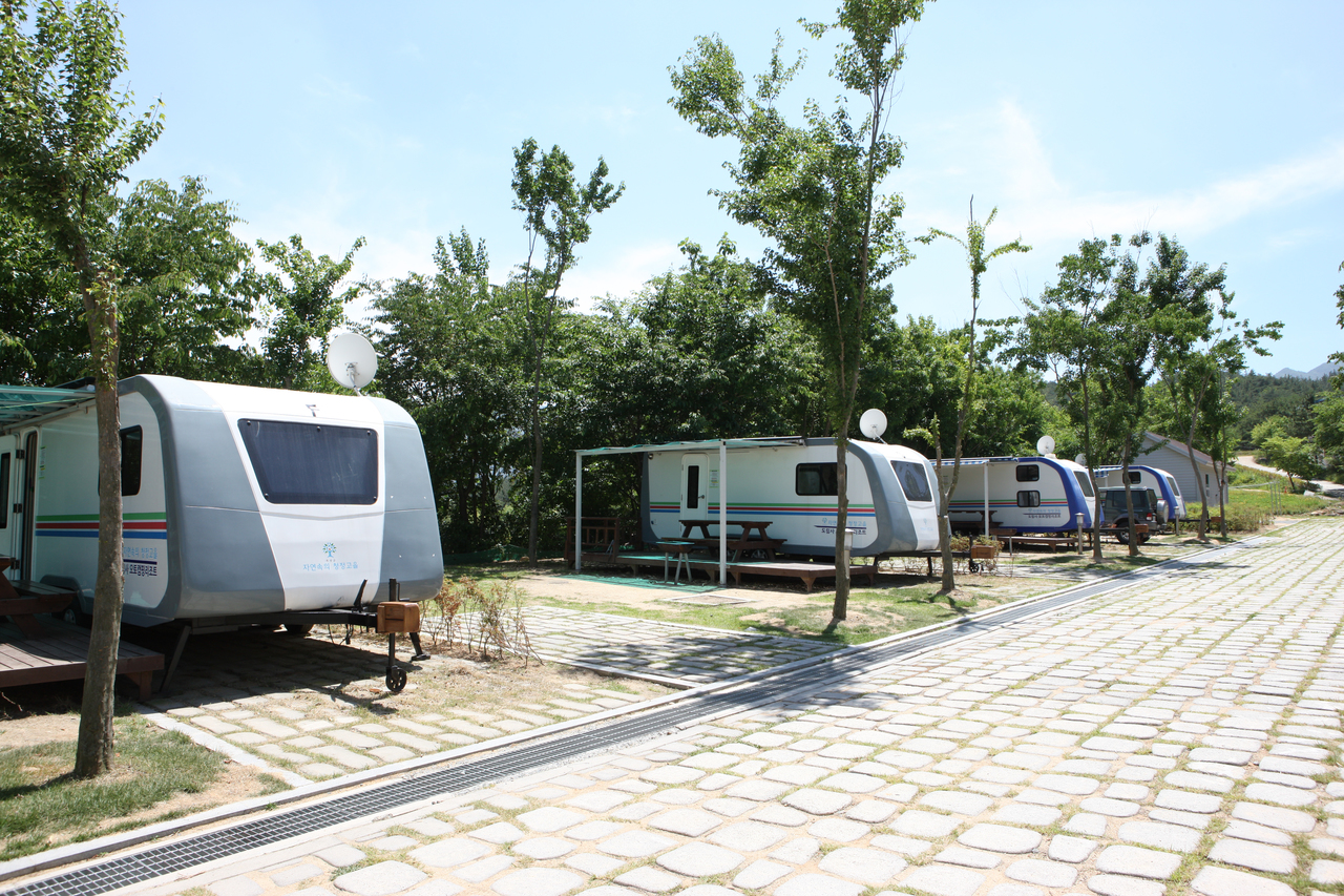 도림사오토캠핑리조트