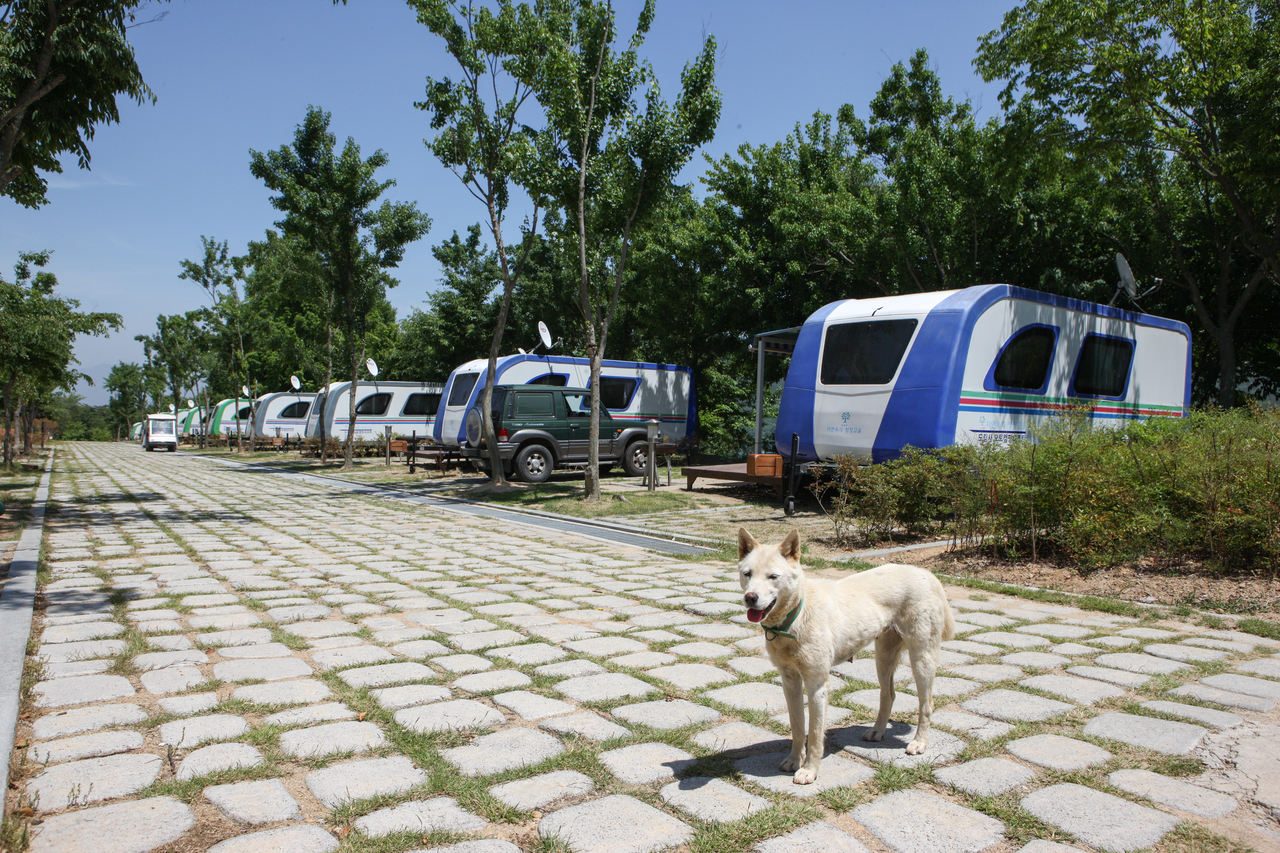 도림사오토캠핑리조트