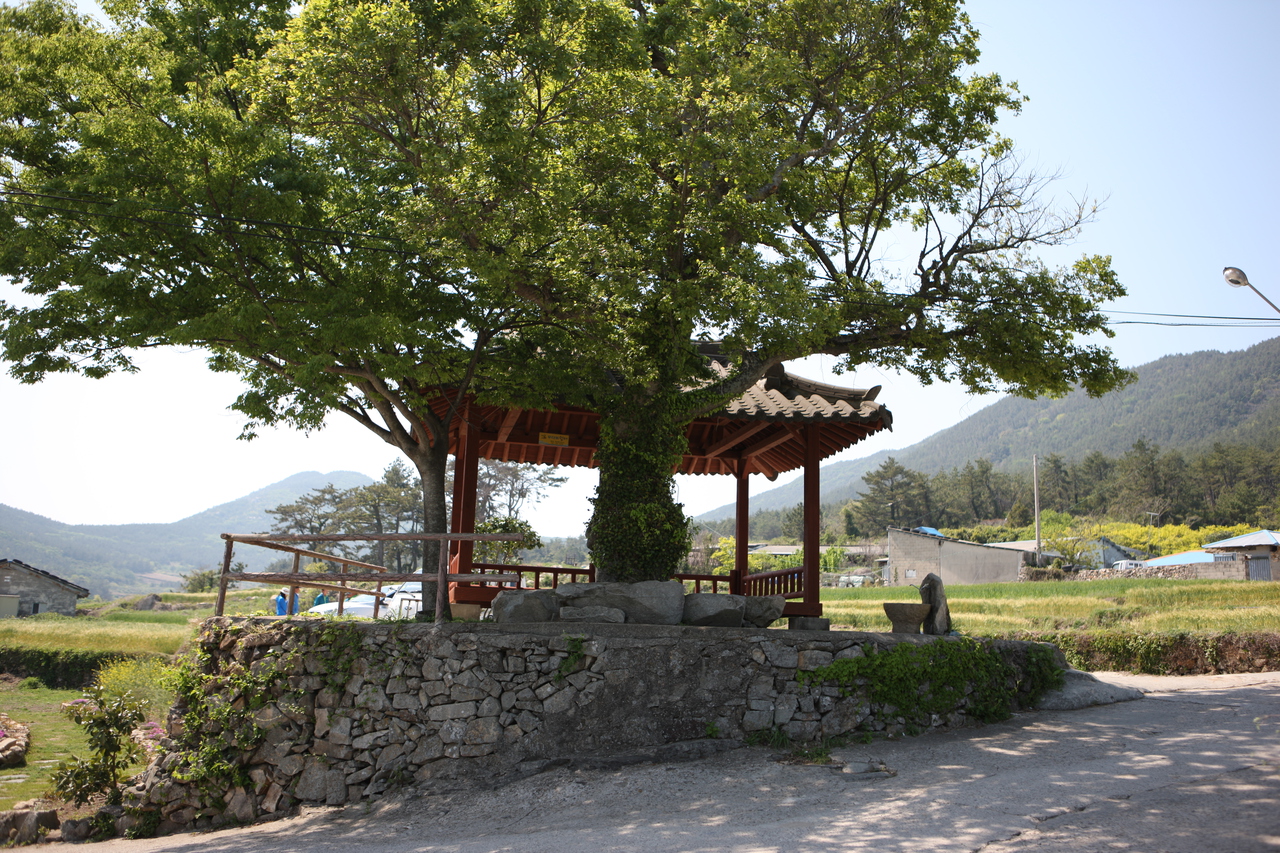 청산도 구들장논