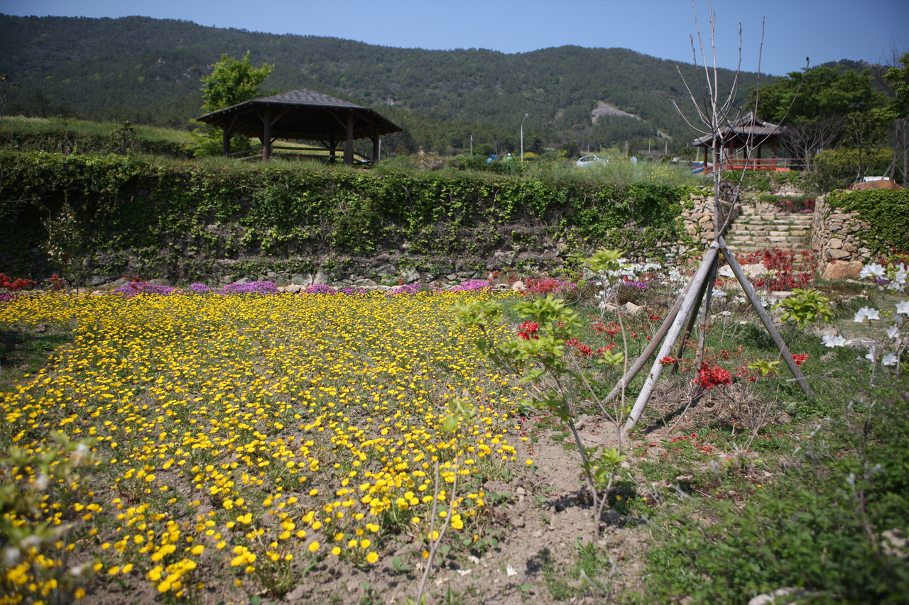 청산도 구들장논
