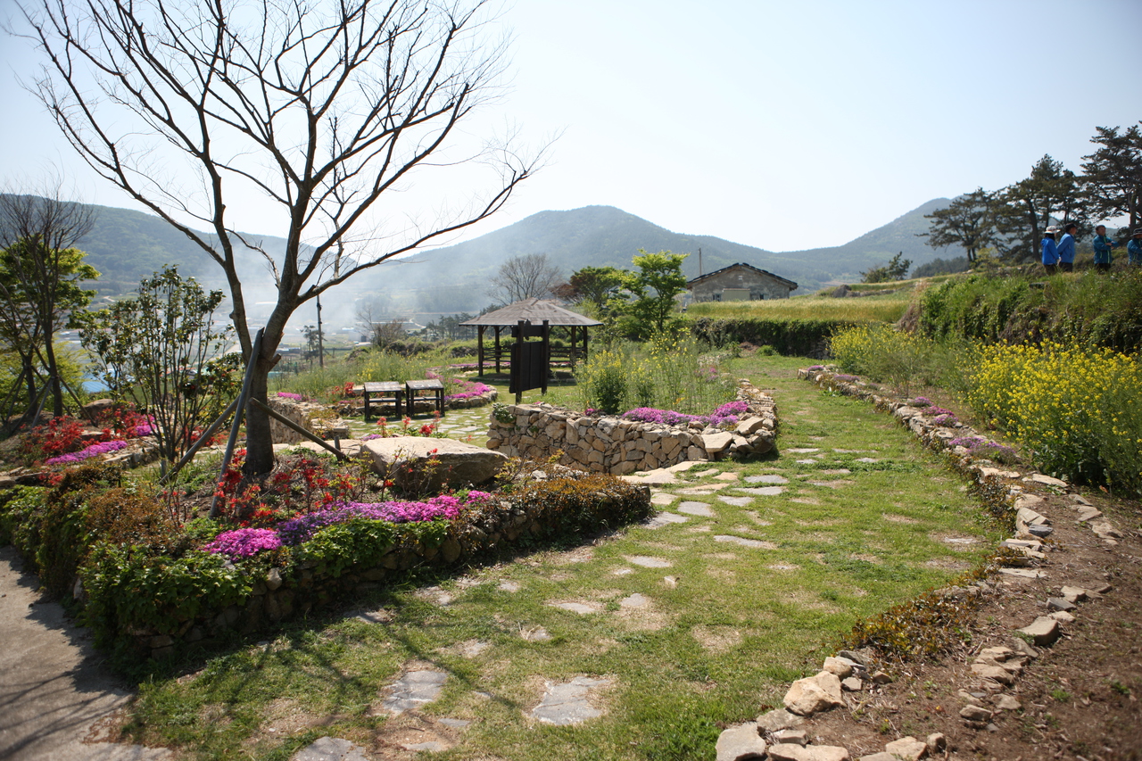 청산도 구들장논