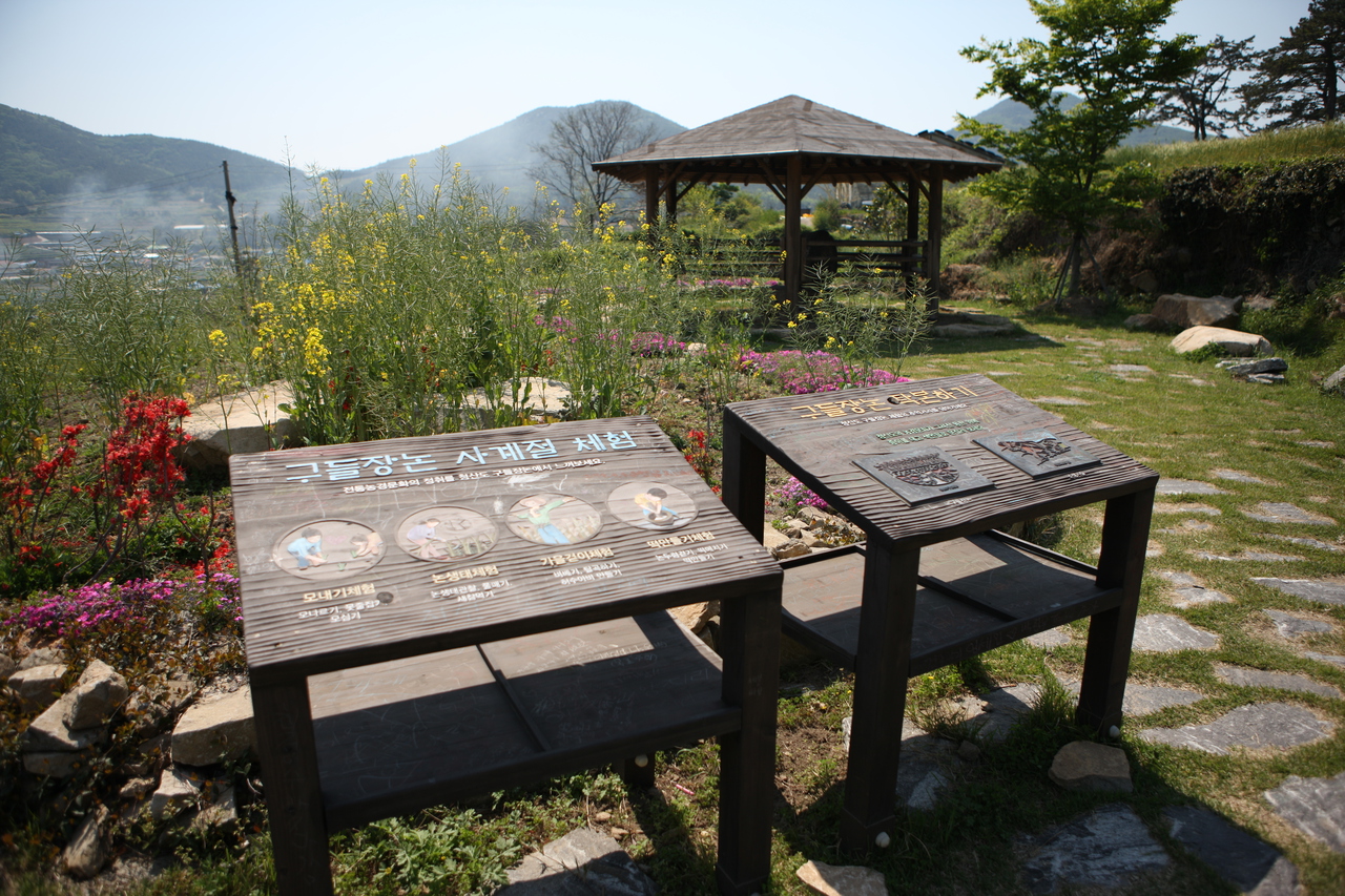 청산도 구들장논