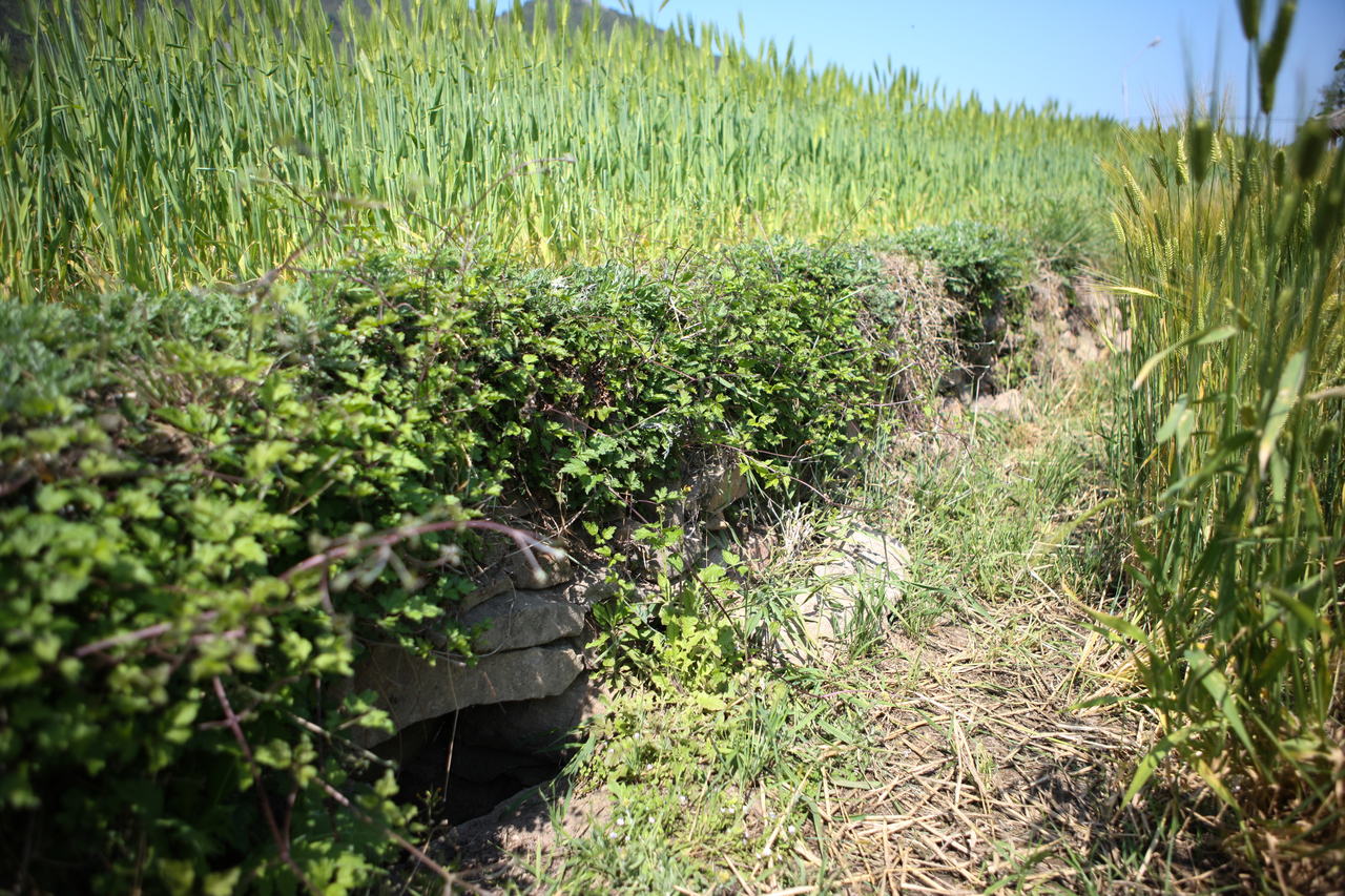청산도 구들장논
