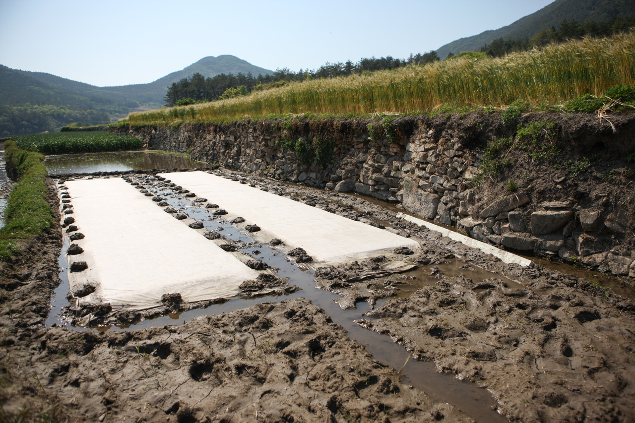 청산도 구들장논
