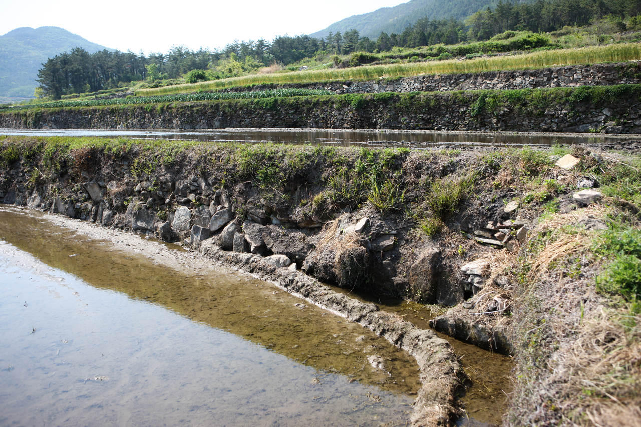 청산도 구들장논