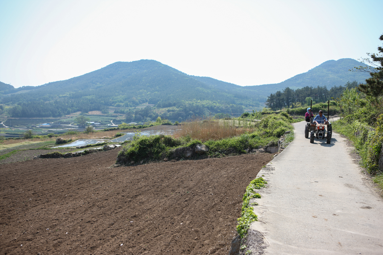 청산도 구들장논