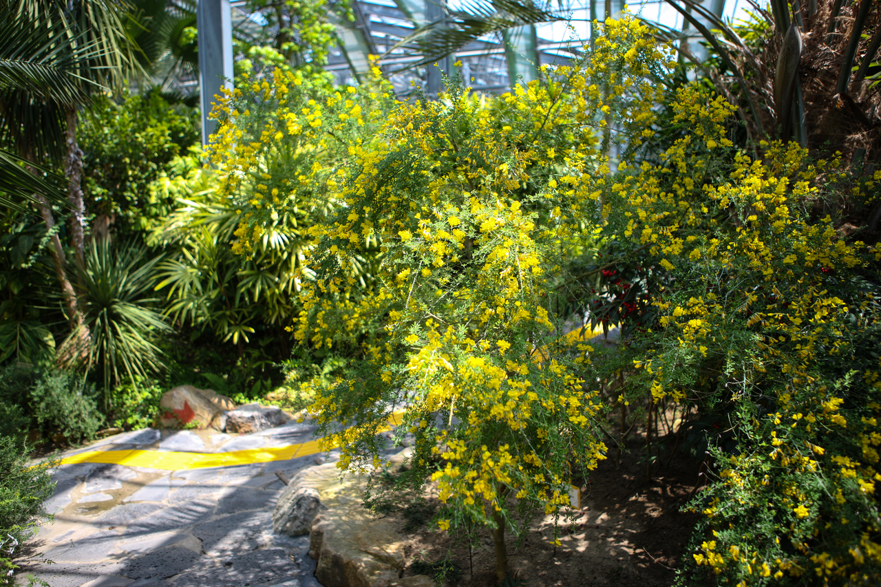 완도수목원(산림박물관)