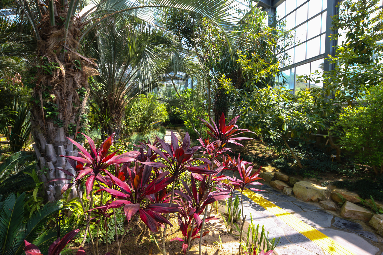 완도수목원(산림박물관)