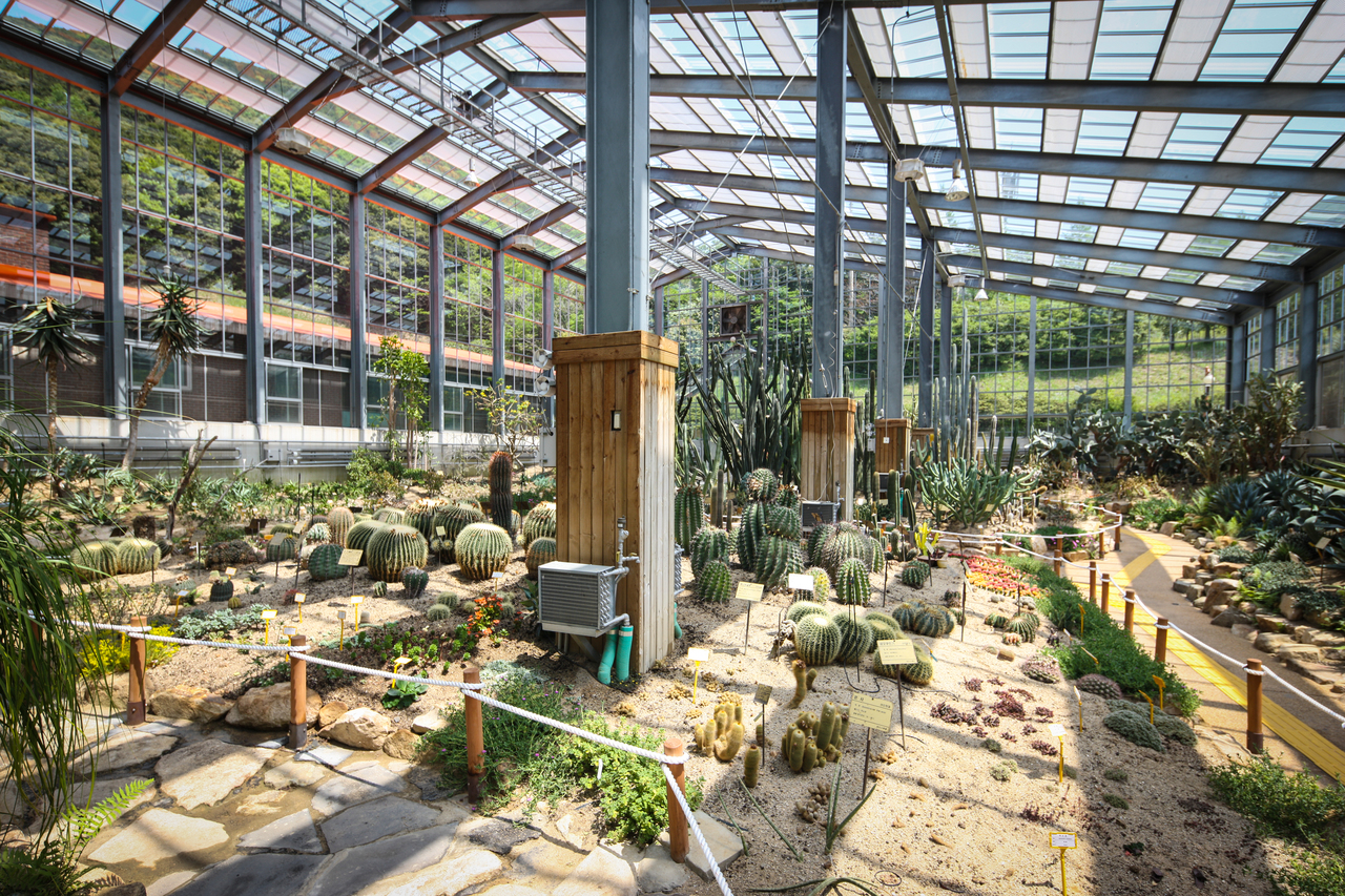 완도수목원(산림박물관)