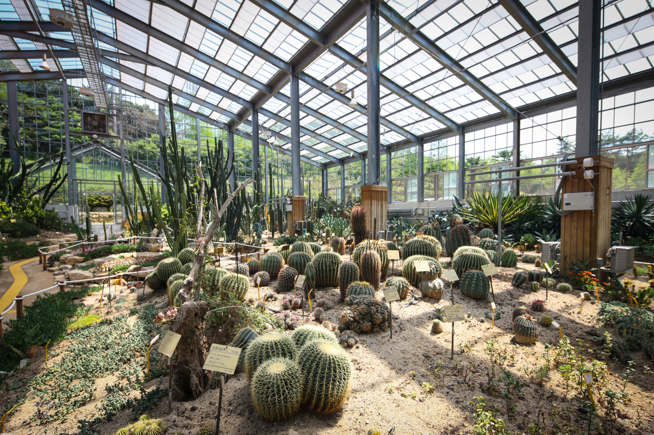 완도수목원(산림박물관)