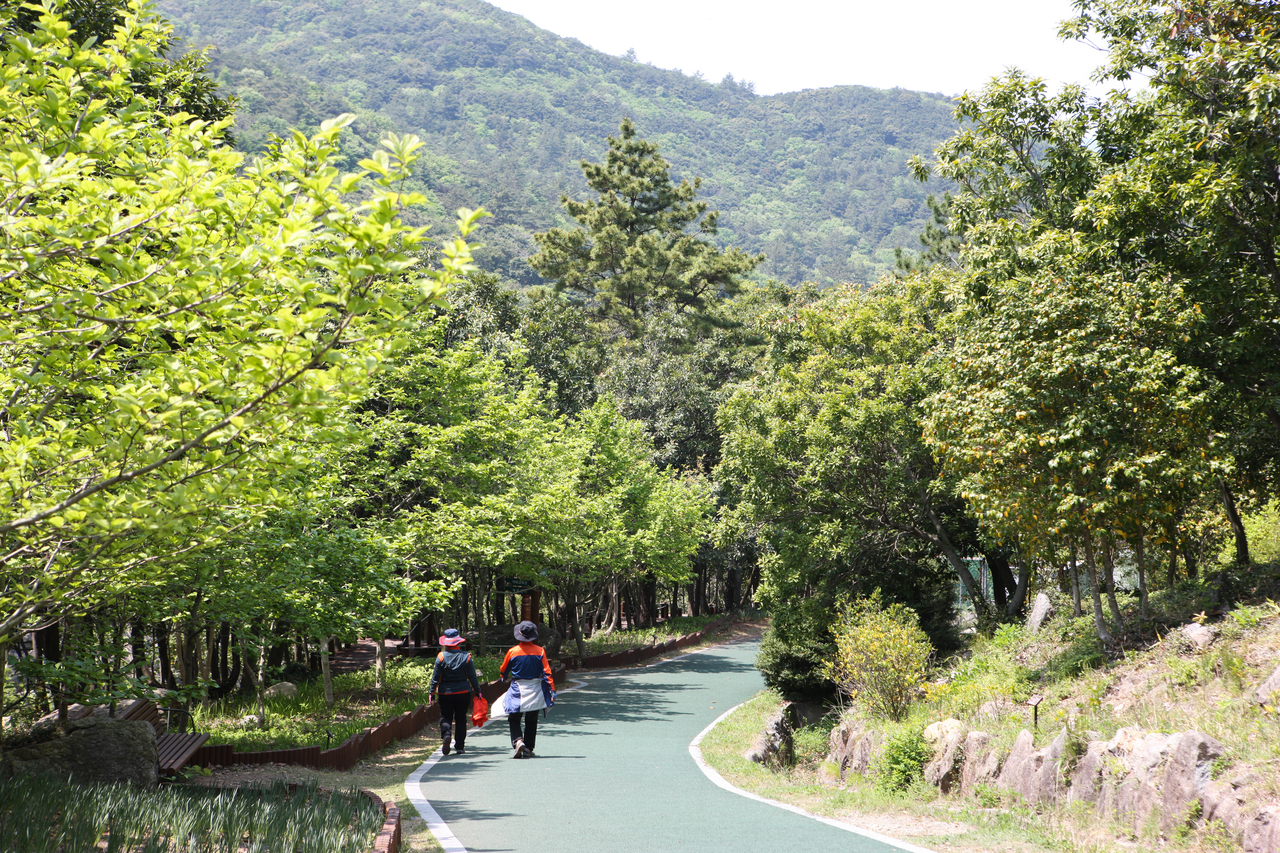 완도수목원(산림박물관)