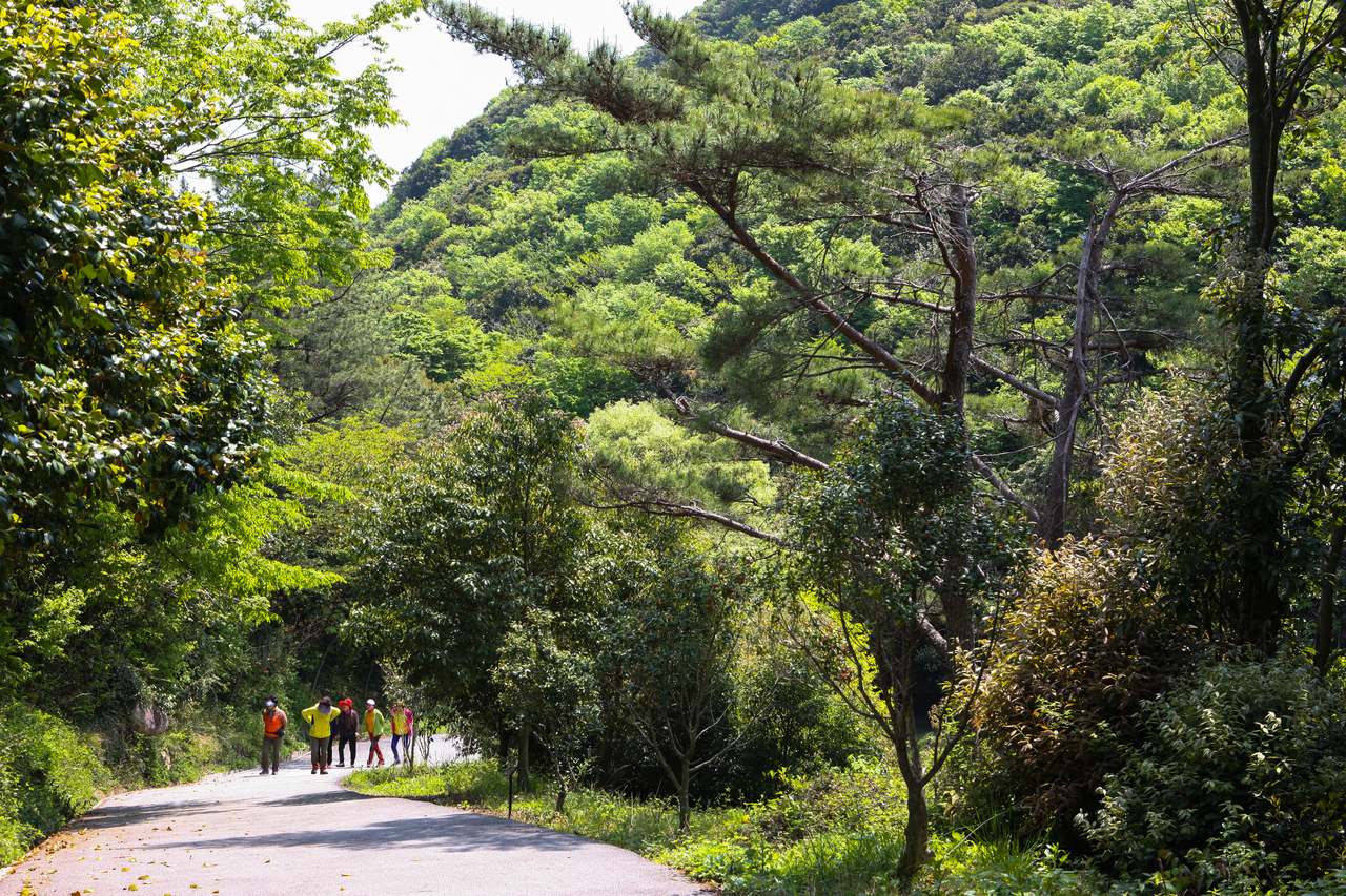 완도수목원(산림박물관)