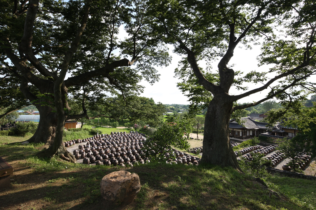 논산 명재고택(구 윤증고택)