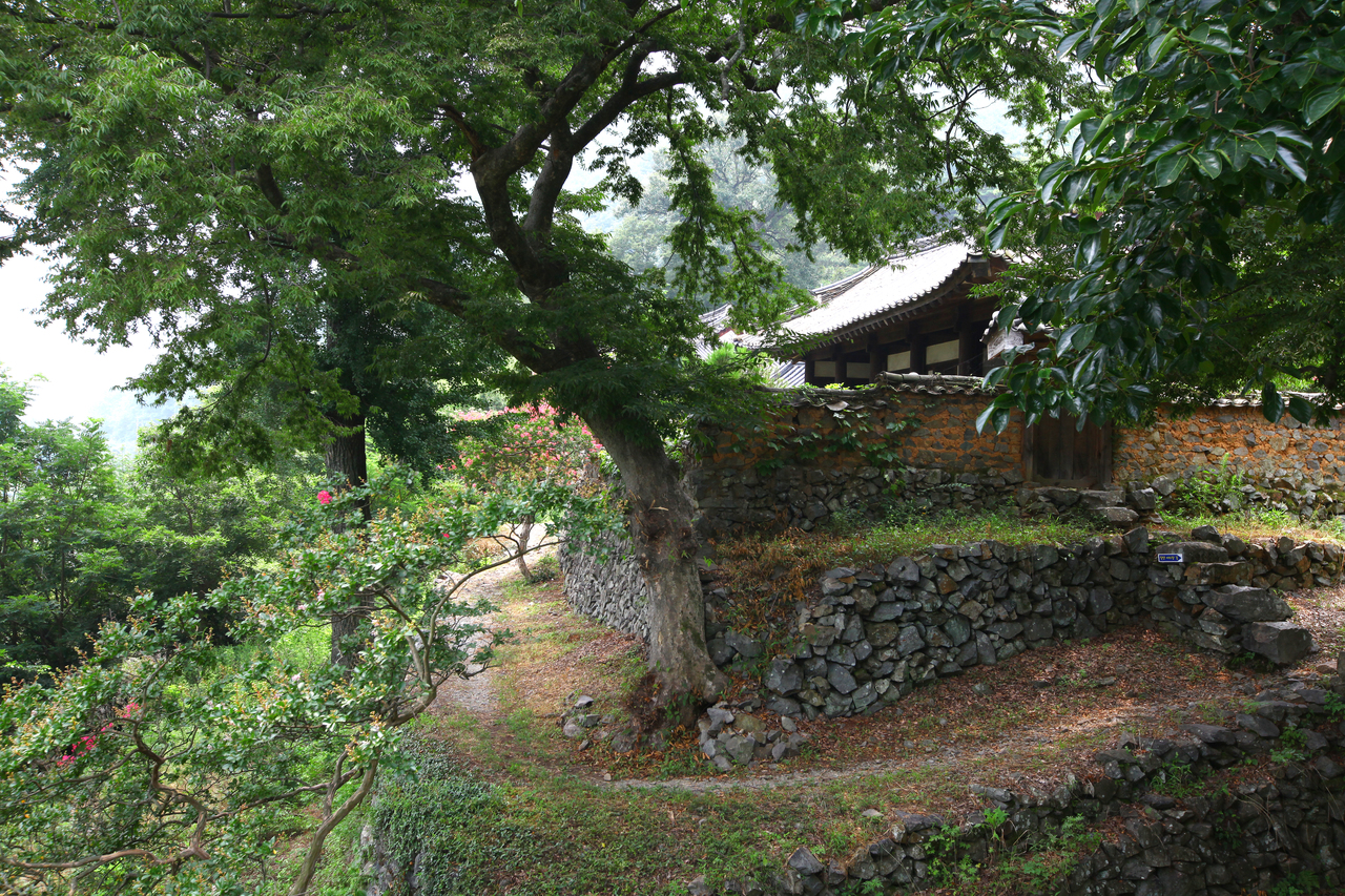 밀양 월연대 일원