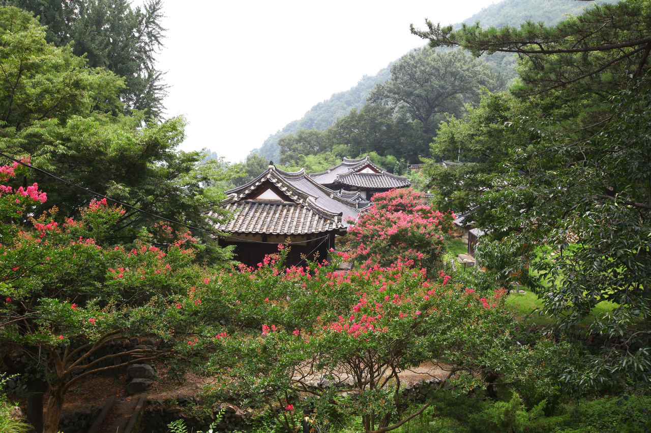 밀양 월연대 일원