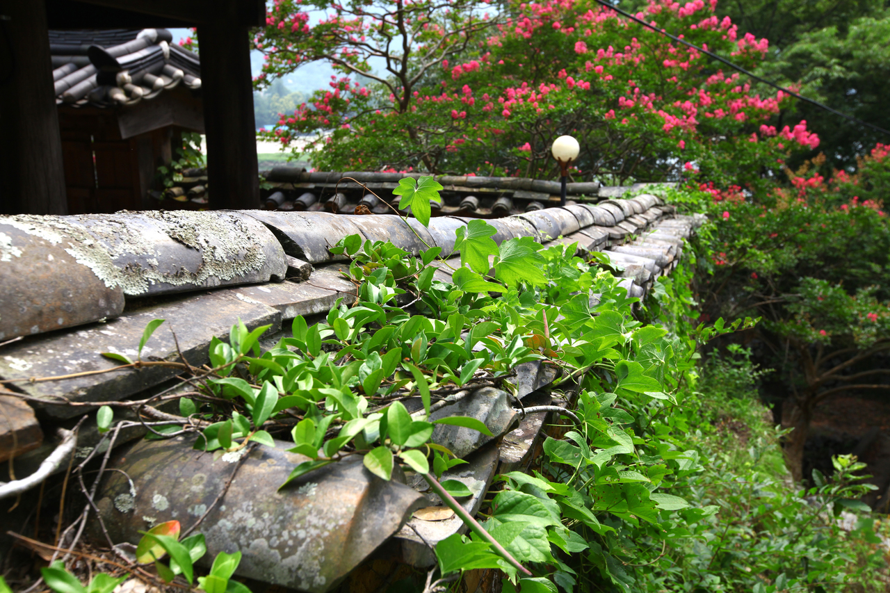 밀양 월연대 일원