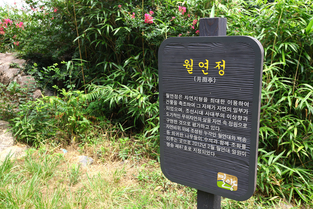 밀양 월연대 일원